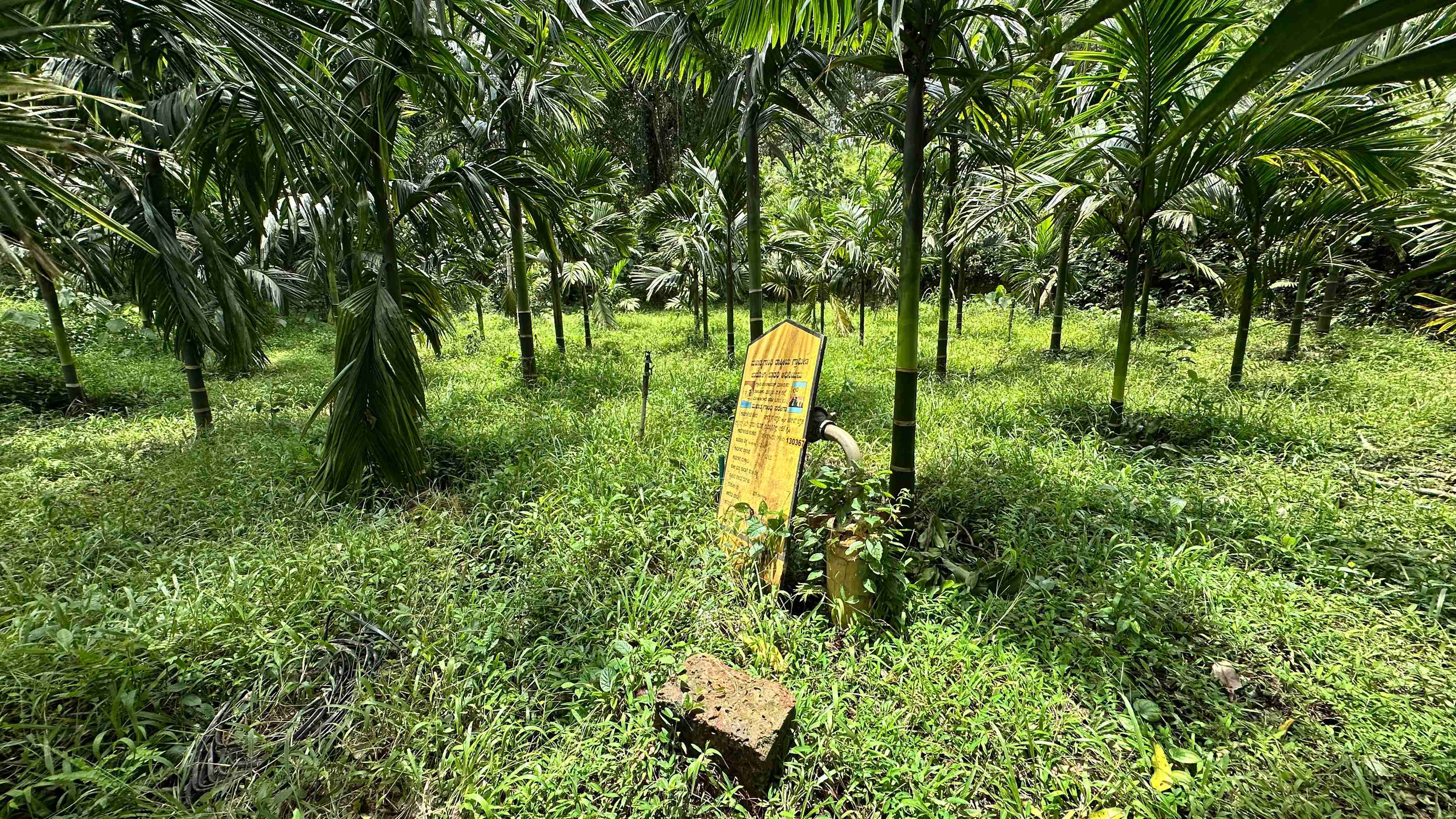 Agriculture land for Sale in Punache Karnataka