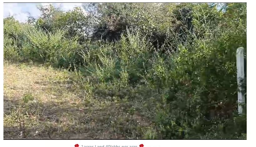 1 acre agricultural land for sale in Nagunoor , Siddipet