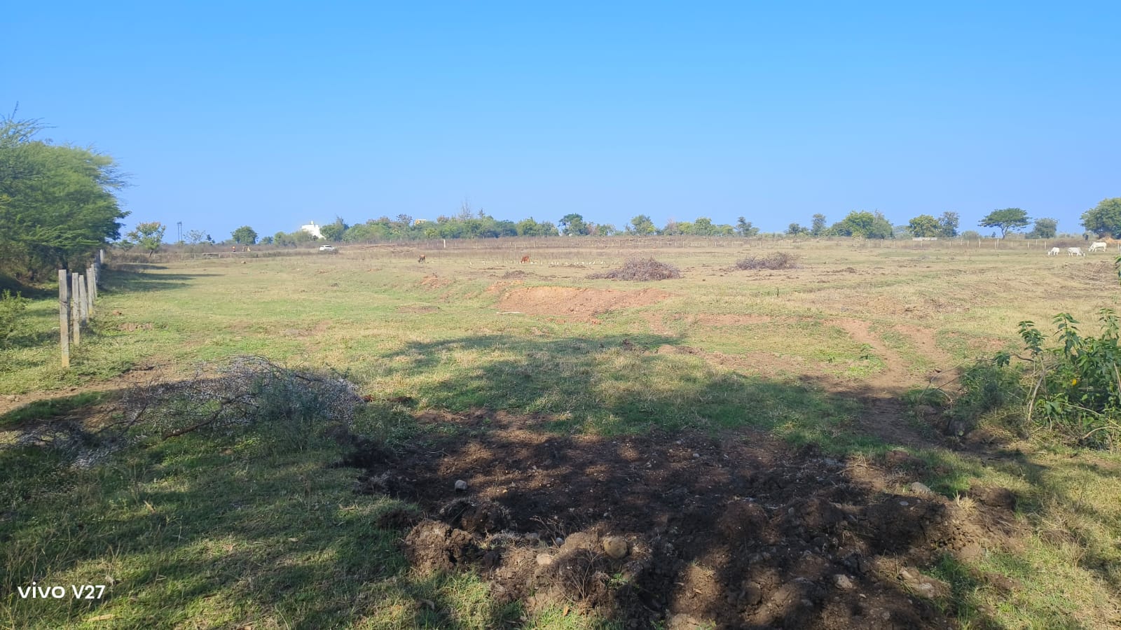 5.50 acres yellow belt agriculture land for sale at Mauja Walani near Nagpur 