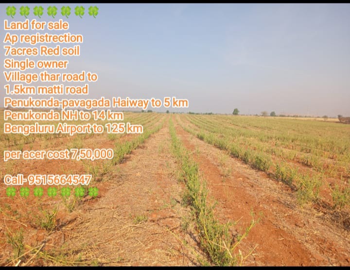7 acres Red soil Land for sale at Penukonda Anantapur