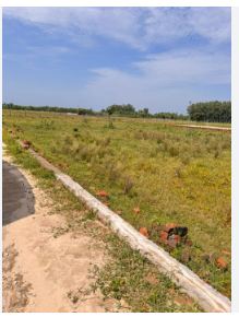 52 Bigha Land for Sale in Dehradun, Uttarakhand