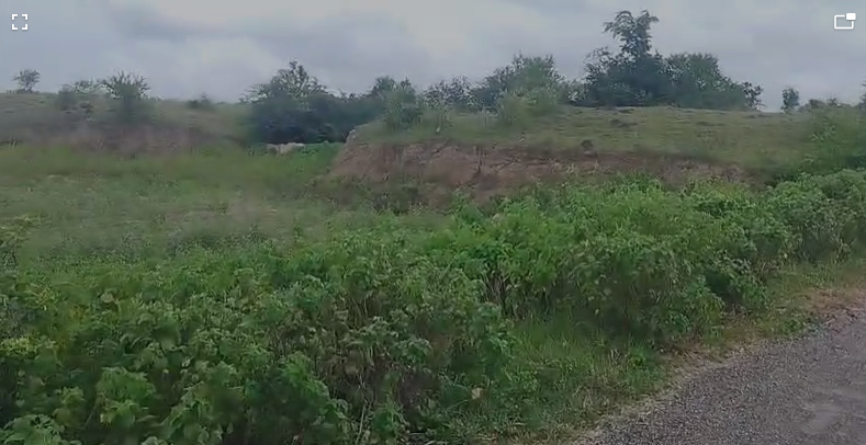 2.5 Acres Land For Sale In Navalga Vikarabad