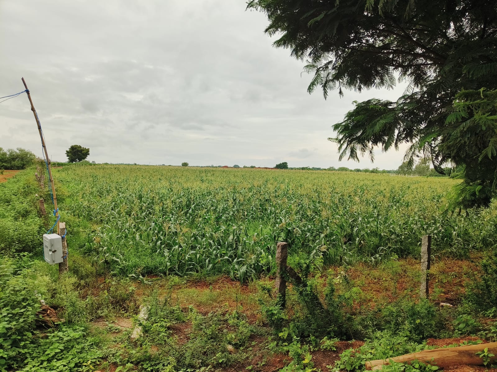 20 Guntas Land for Sale Near Pagnapur Gajwel Outer Ring Road