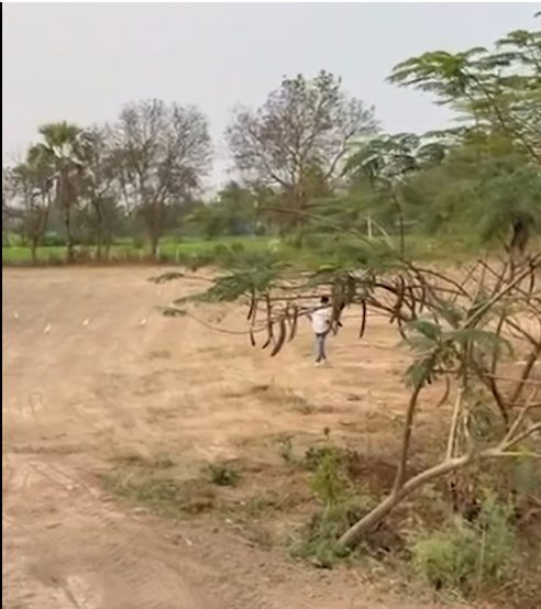 Commercial Land For Sale At Vangapalli