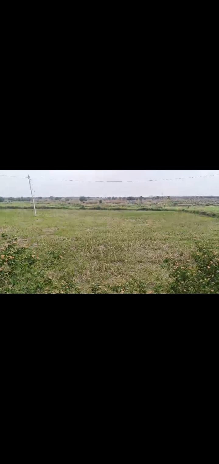 20 guntas Agriculture land for sale in koheda Siddipet