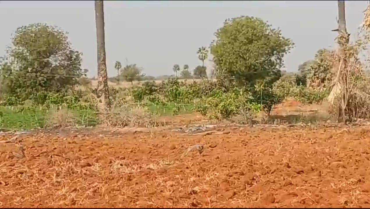 Agriculture Land For Sale at Raichur - Kurnool