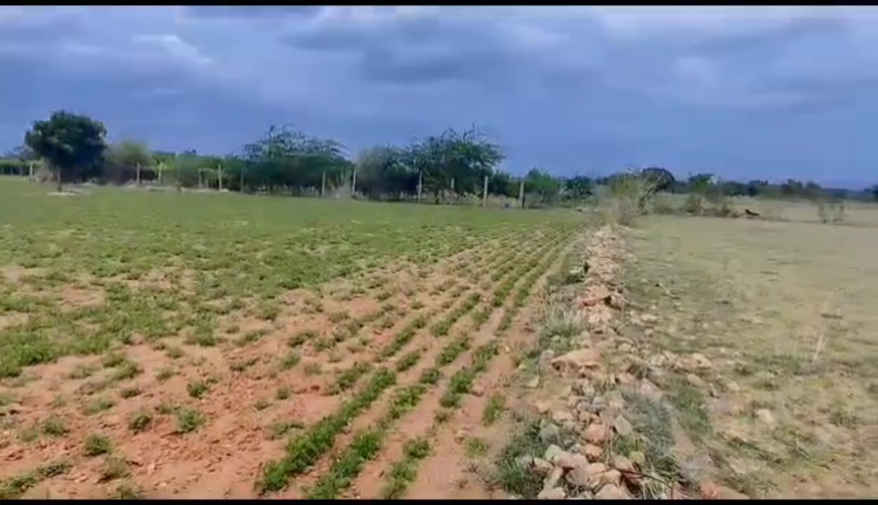 Agriculture Land For Sale at Purvam Patta Village, Anantapur