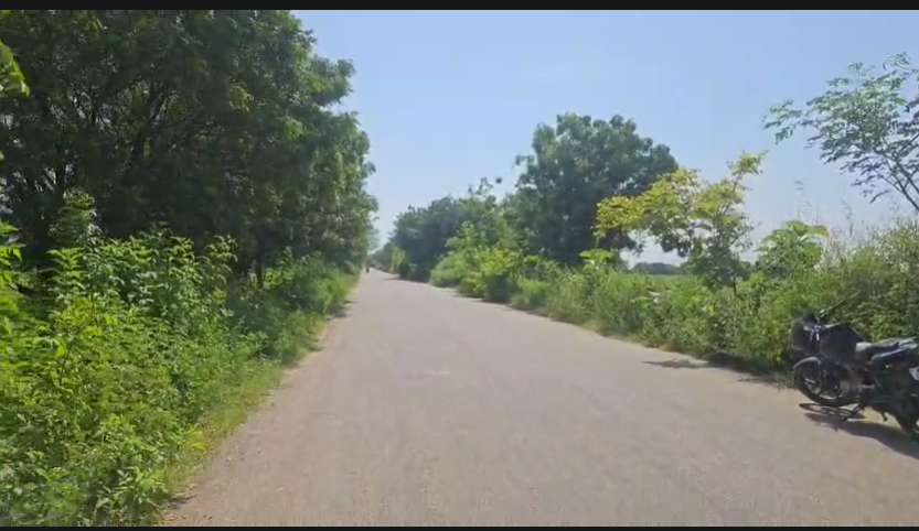 11 Guntas Land For Sale At Chinthakunta Sangareddy