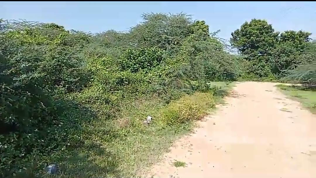 PRIME 810 Sqft. LAND WITH 20-FEET ROAD ACCESS - EXCLUSIVE ONLINE PATTA SALE BY DIRECT OWNER AT Rs.7,00,000/- (Negotiable) IN THIRUVALLUR - NEAR TO CHENNAI