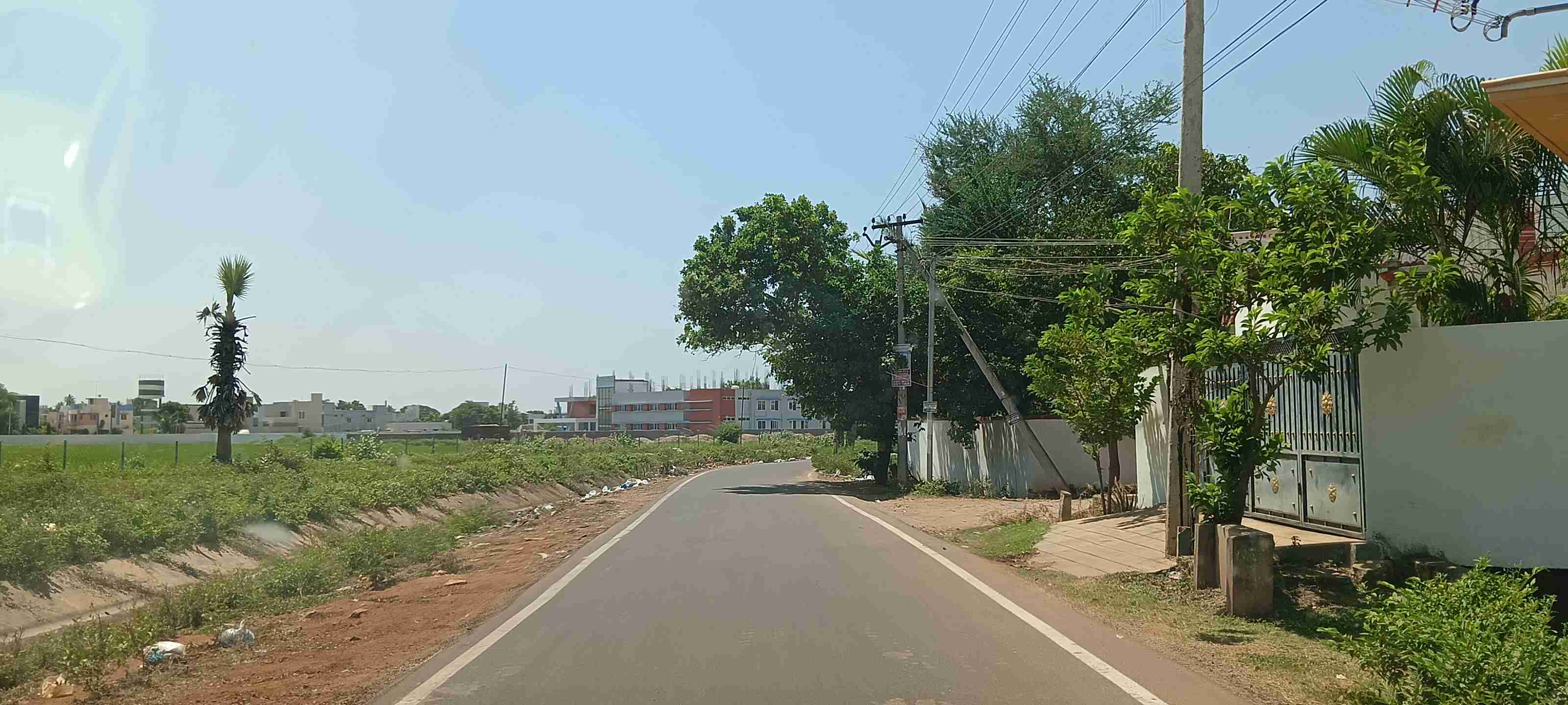  7.43  CENts BACK SIDE MP MAHAL MADUARI