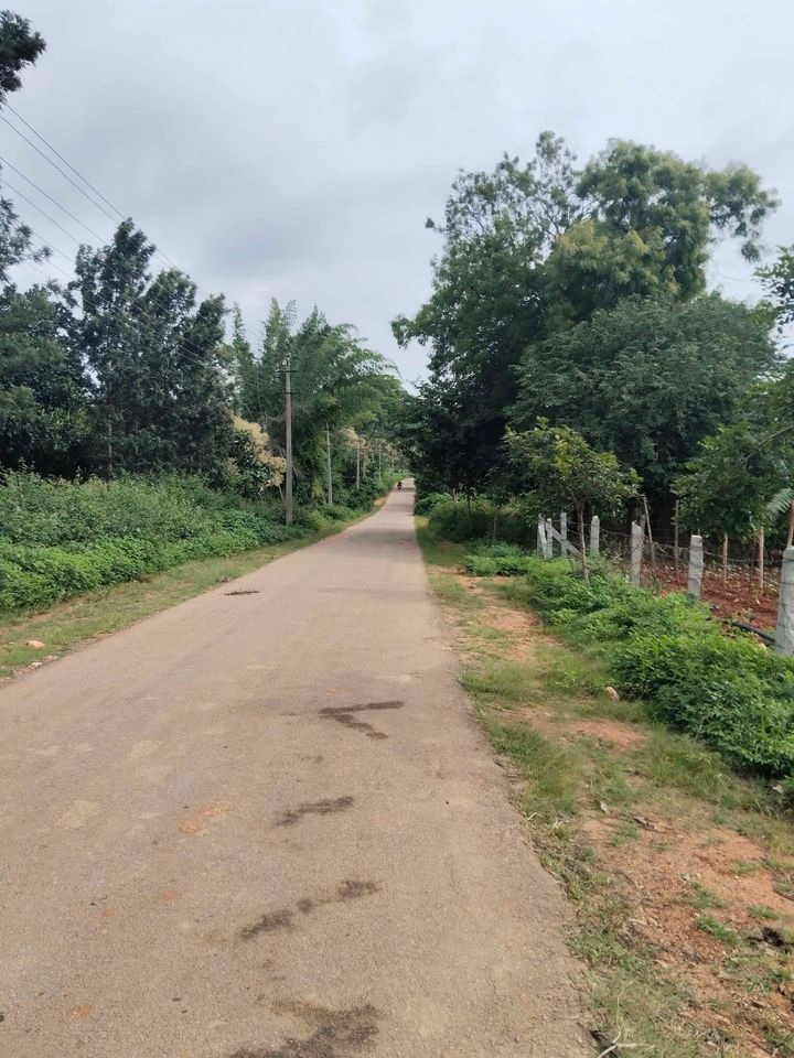 38 Guntas Agricultural Land for Sale in Madahalli Village, Mysore