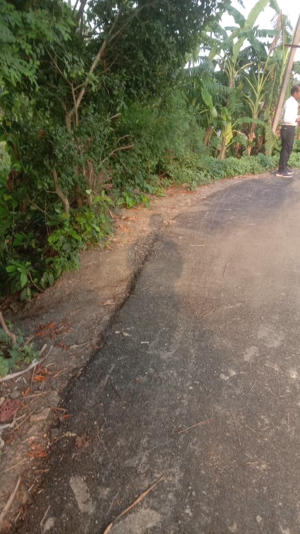 Farmland for Sale in Gabberia Near Gobra More / Amtala Baruipur Road West Bengal