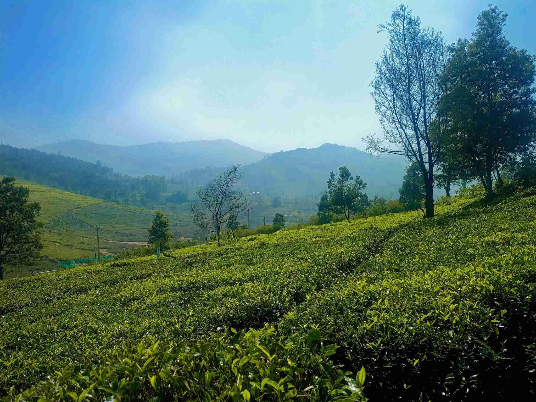 Property For Sale In kanacombai Ooty