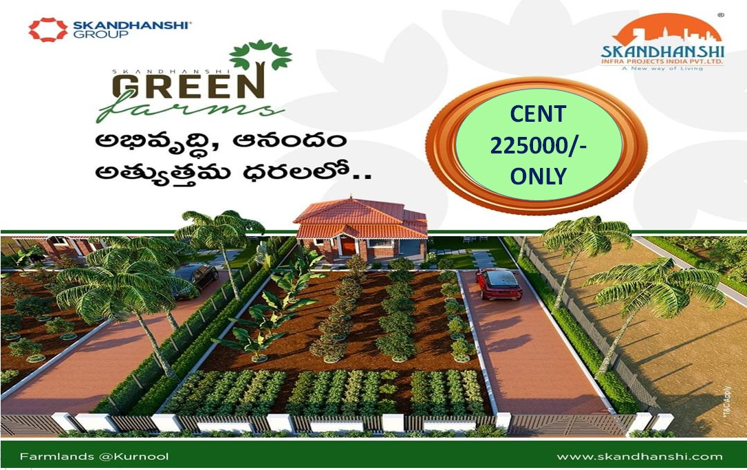 Farm Plots For Sale On Kodumur Road Kurnool