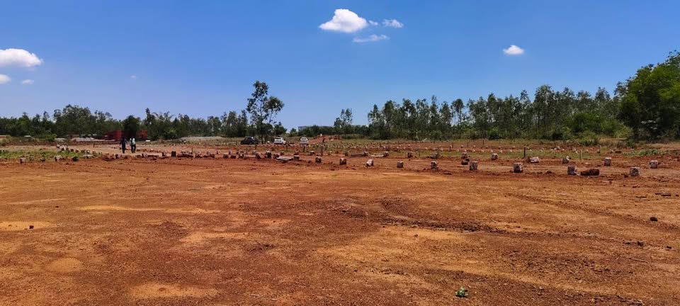 Open Plot Sor Sale At Mahatpalla Odisha