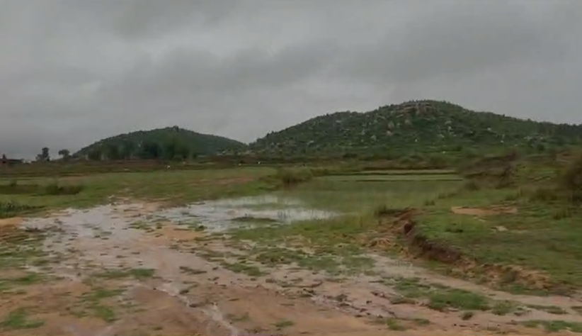 150 Acres Farm Plots For Sale In Uparkonki Jharkhand