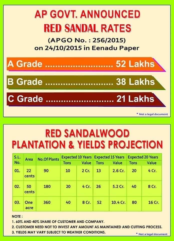 Red Sandalwood Farm Plots for Sale in Nellore to Invest for Future 