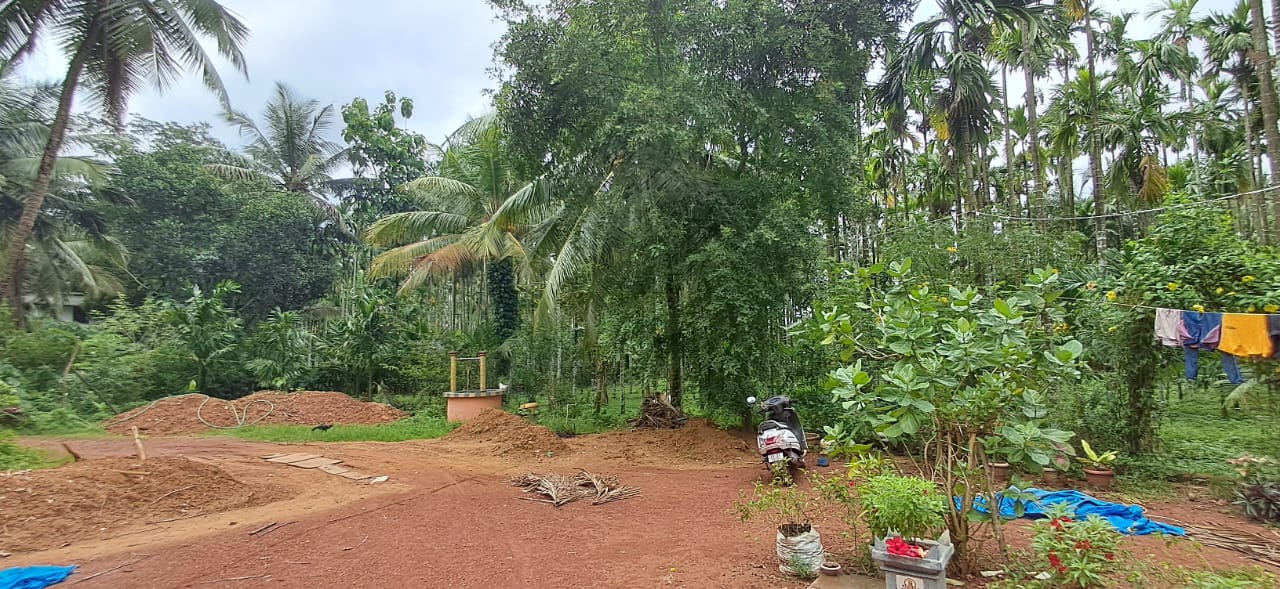 Agricultural Land For Sale In Bellare Puttur Surrounding 

