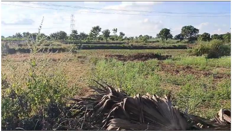 2 acres agriculture Land for sale in Nagunoor, Siddipet