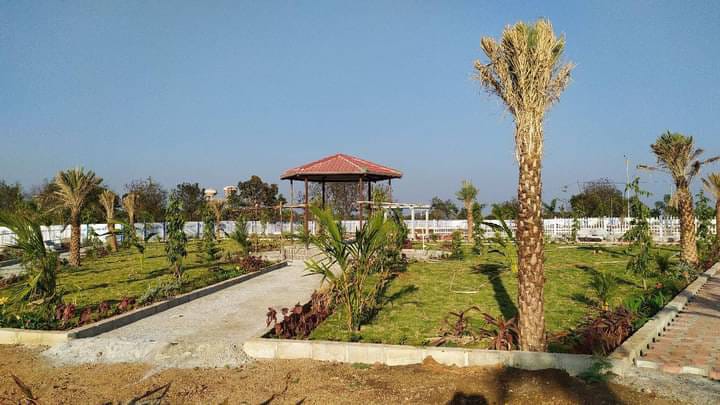 Open Plot for sale in Shankarpally|| 100 feet Road facing || 30 min to ORR