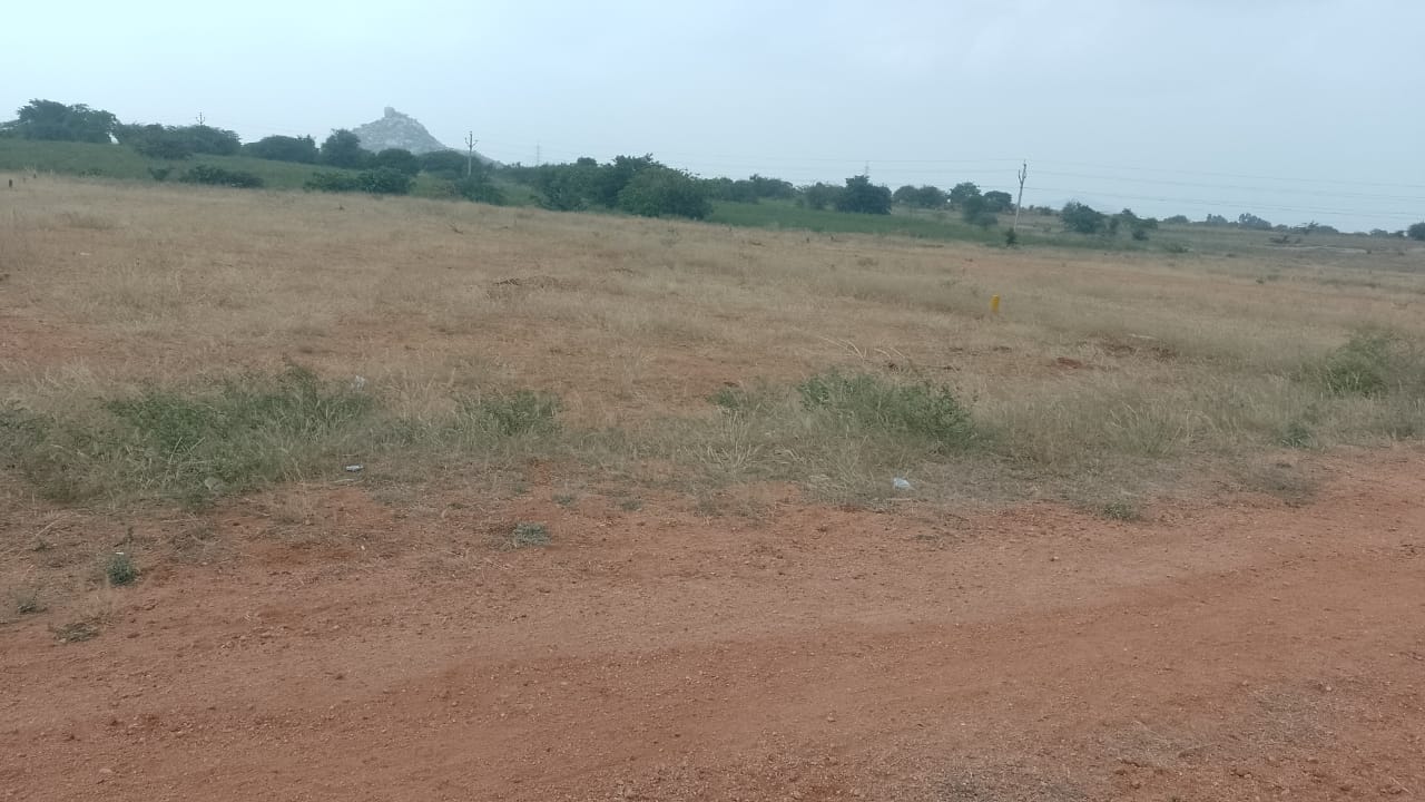 38 Acres Open Land For Sale at Anantapur