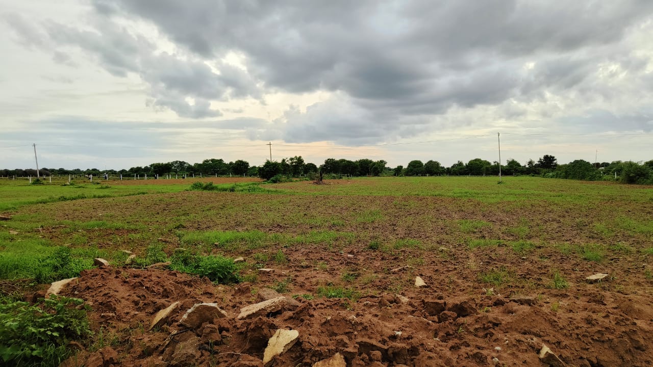 5acres Agriculture land  for sale Near shamirpet @mulugu