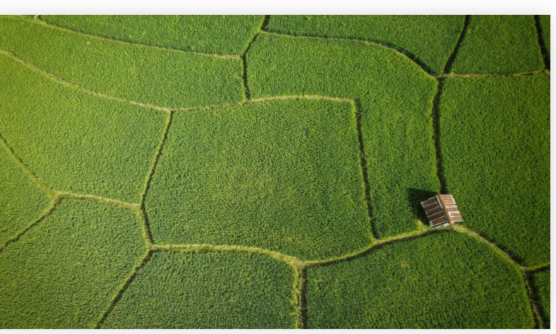 10.04 Acres Agricultural Land For Sale In Vitla Puttur