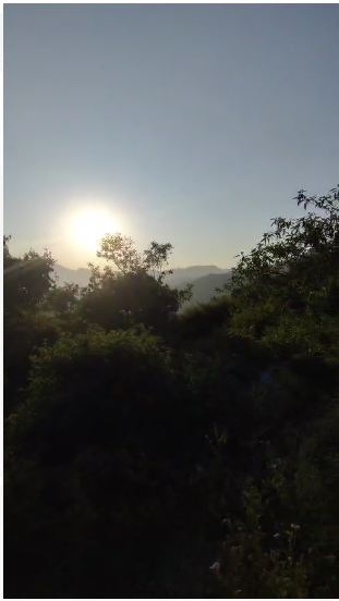 52 Bigha Agricultural Land for Sale Near Sirmour Border, Haryana