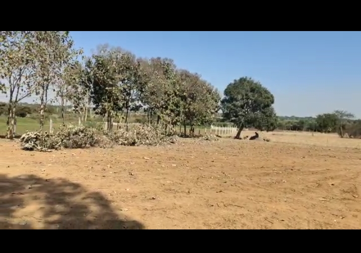 Seetharampally village, wargal mandal, gajwel constituency. 5 acres land, red soil, 75 lakhs per acre.
