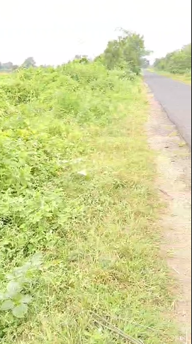 10.5 Acres Agricultural land For Sale In Bashirabad Vikarabad