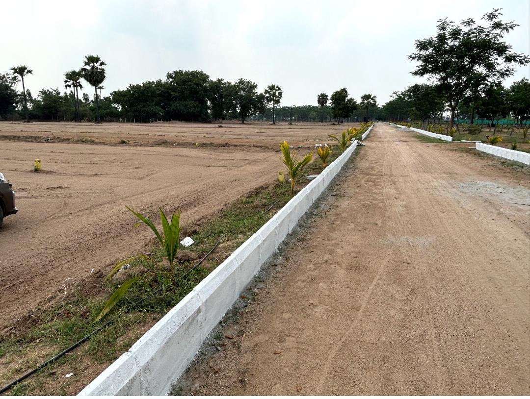 Open Plots For Sale At Nemila Bhuvanagiri