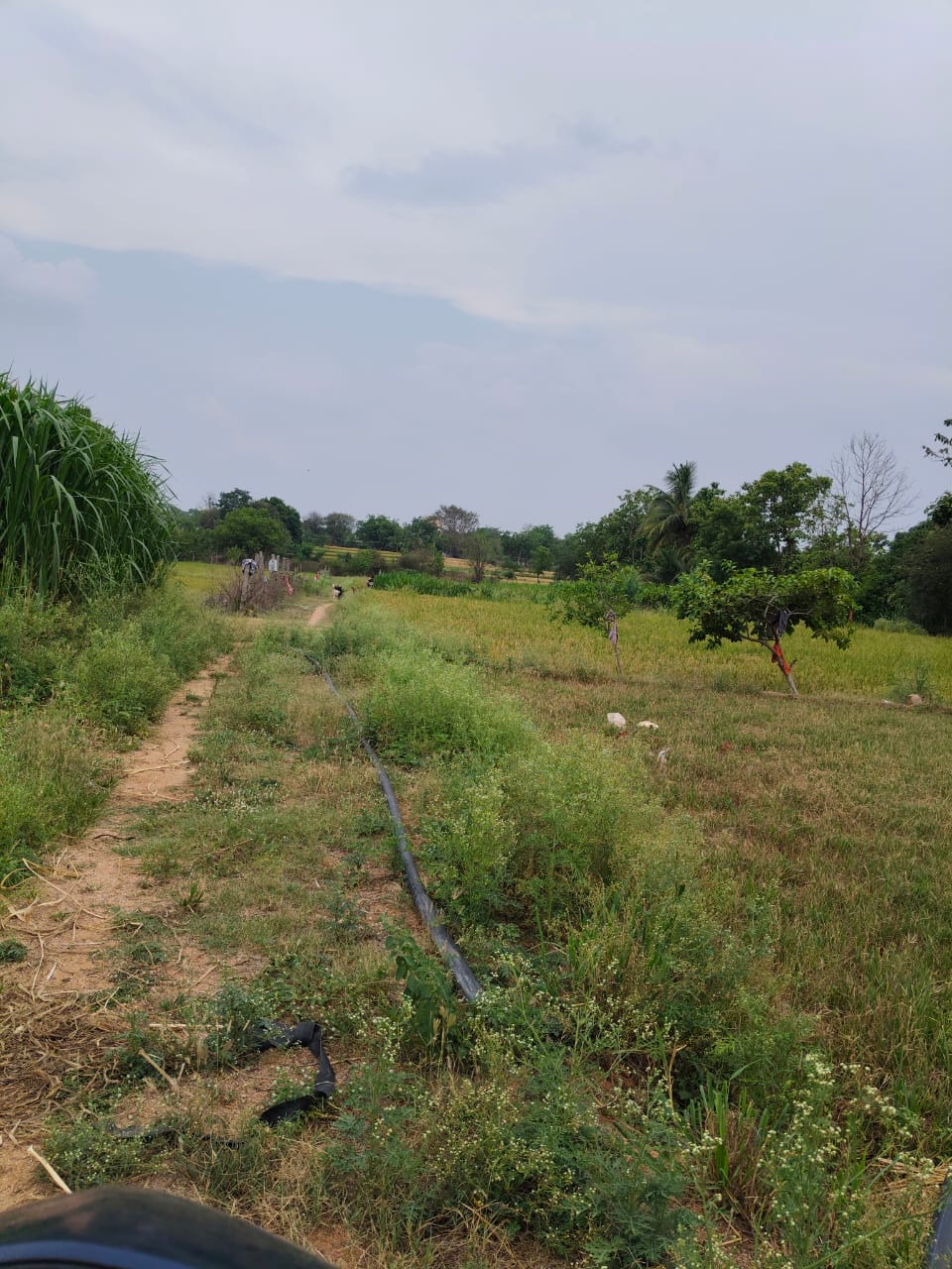 1.5 acres farm land for sale at Ghatkesar