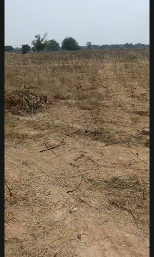 8 Acres Agricultural Land For Sale At Makthal