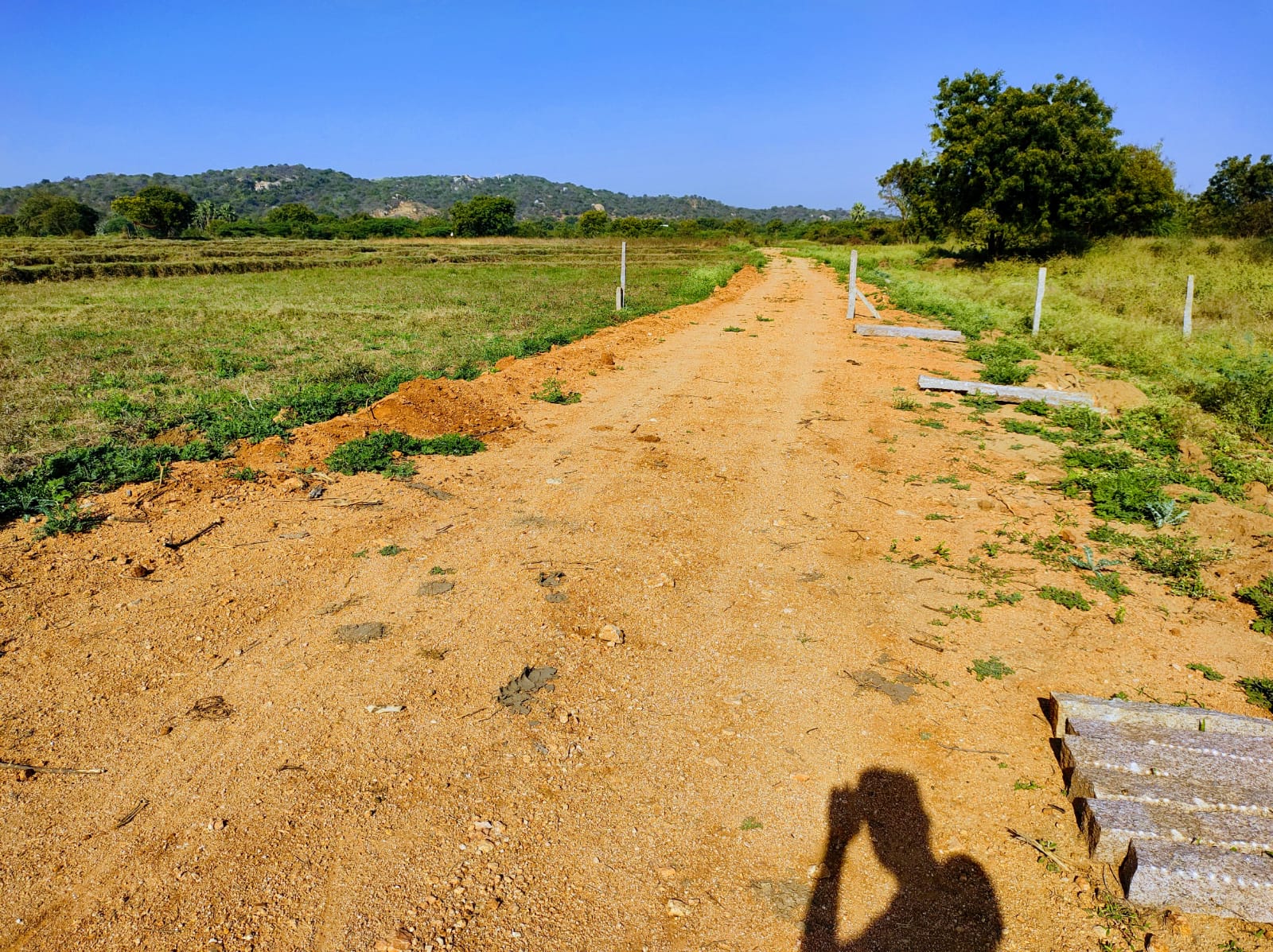 3 Acre Agriculture Land for Sale at Yadadri