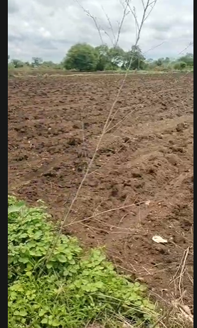 4 Acres Agricultural Land For Sale In Gotlapally Vikarabad