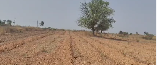 16 Acres Land For Sale At Penukonda