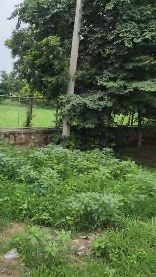 1 Acre Property for sale  on Bilaspur-Tauru Main Road