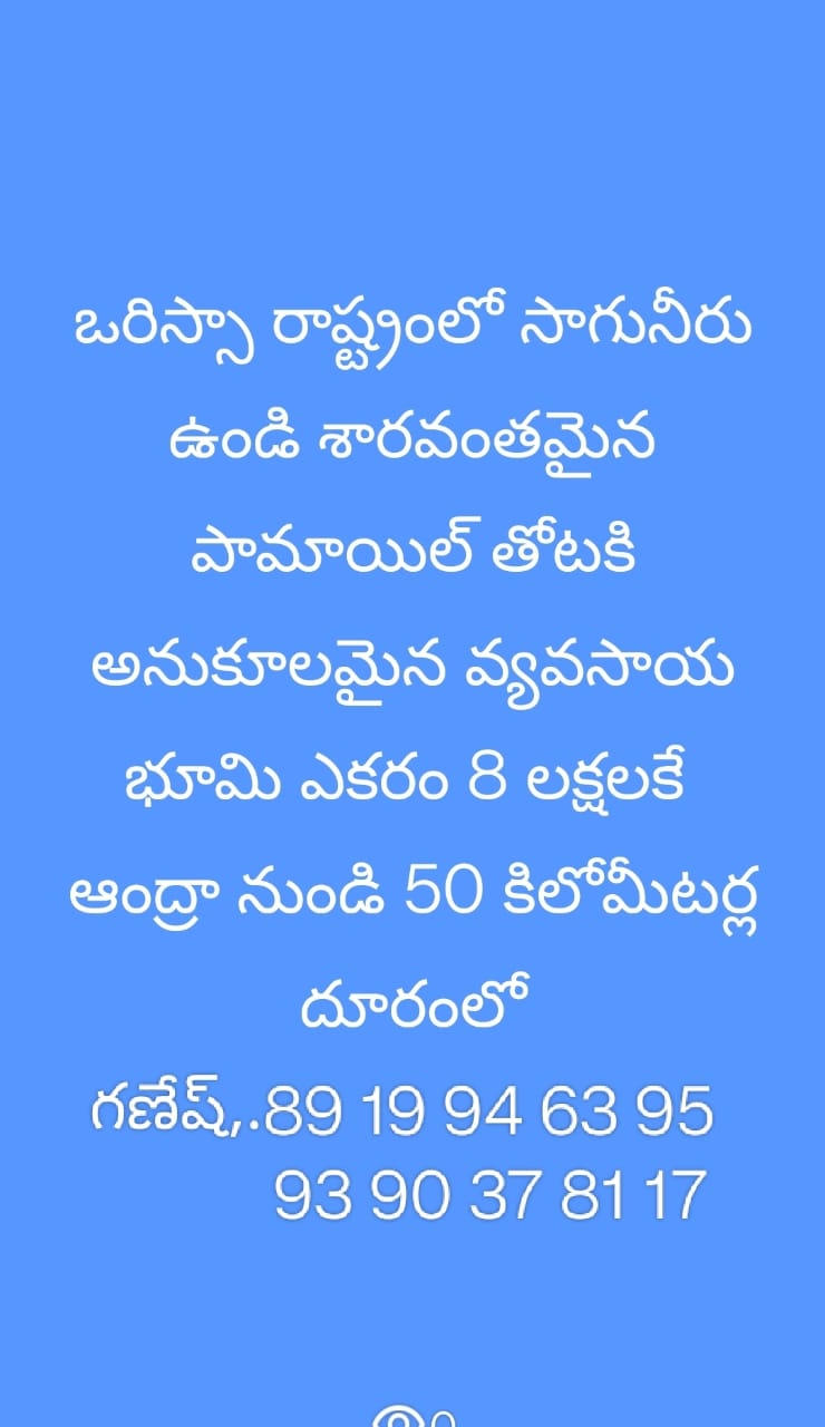 Agriculture land for sale at Orissa