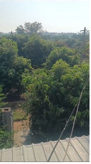 Agricultural Land For sale in Mangupalli , Ananthsagaram