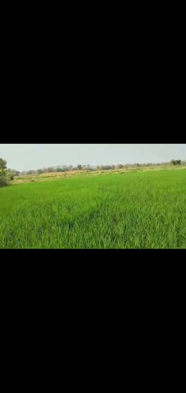 1.33 guntas land land for sale in Siddipet