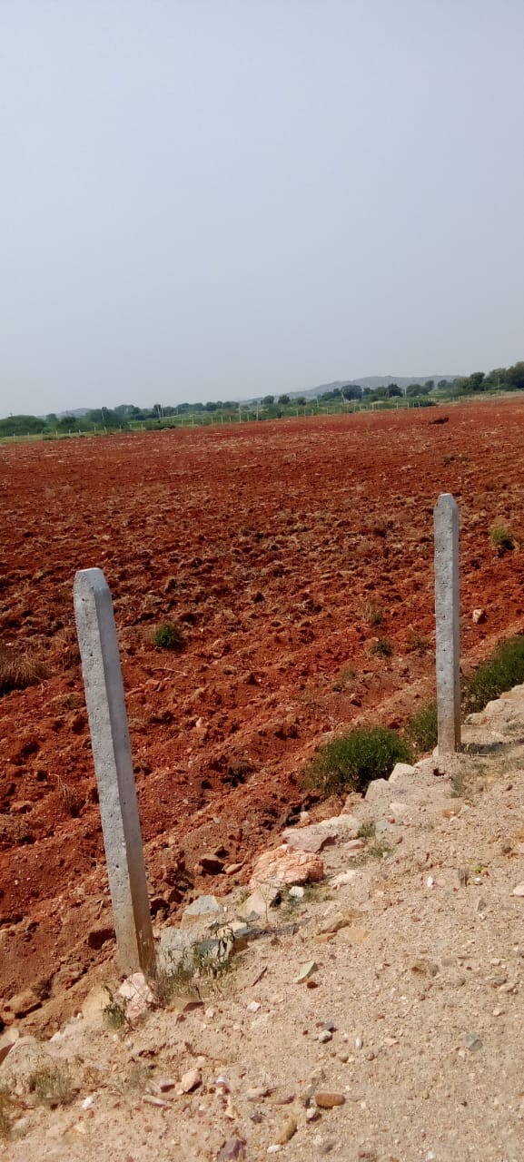 10 Acres Agriculture Land For Sale Near Ananthapur Village