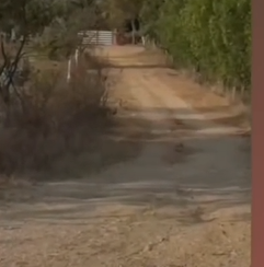 6 Acres Mango Garden & Farm House For Sale On Karimnagar Highway