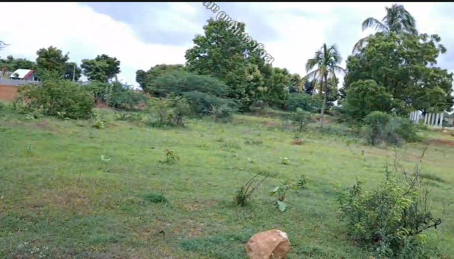 34 Guntas Commercial Land For Sale In Bagepalli  Bangalore Karnataka