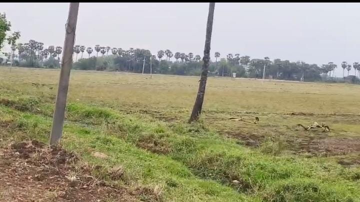 4.5 Acres Land for sale at Vuyyuru
