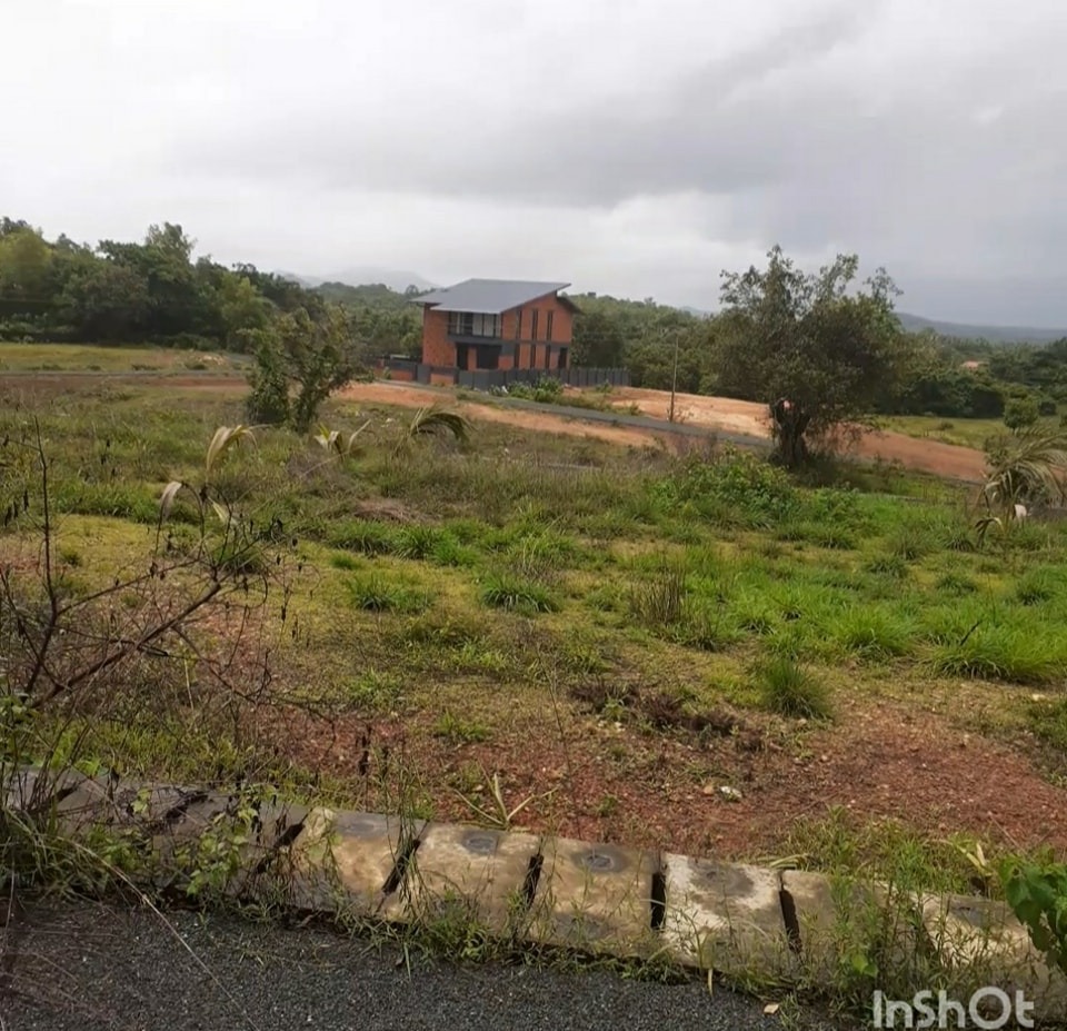 Residential Plot for Sale in Guirdolim, Chandor, South Goa