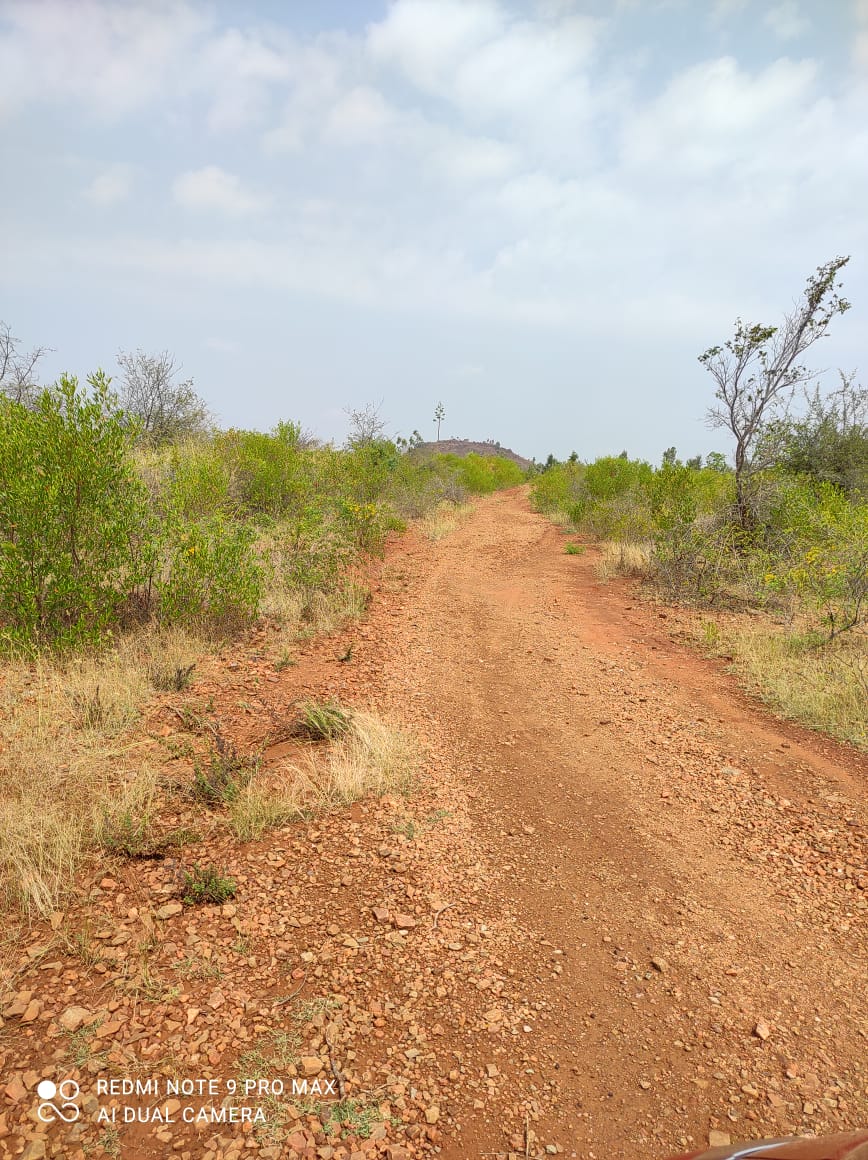 8 acres of land for sale in Mavinamadu, Raichur