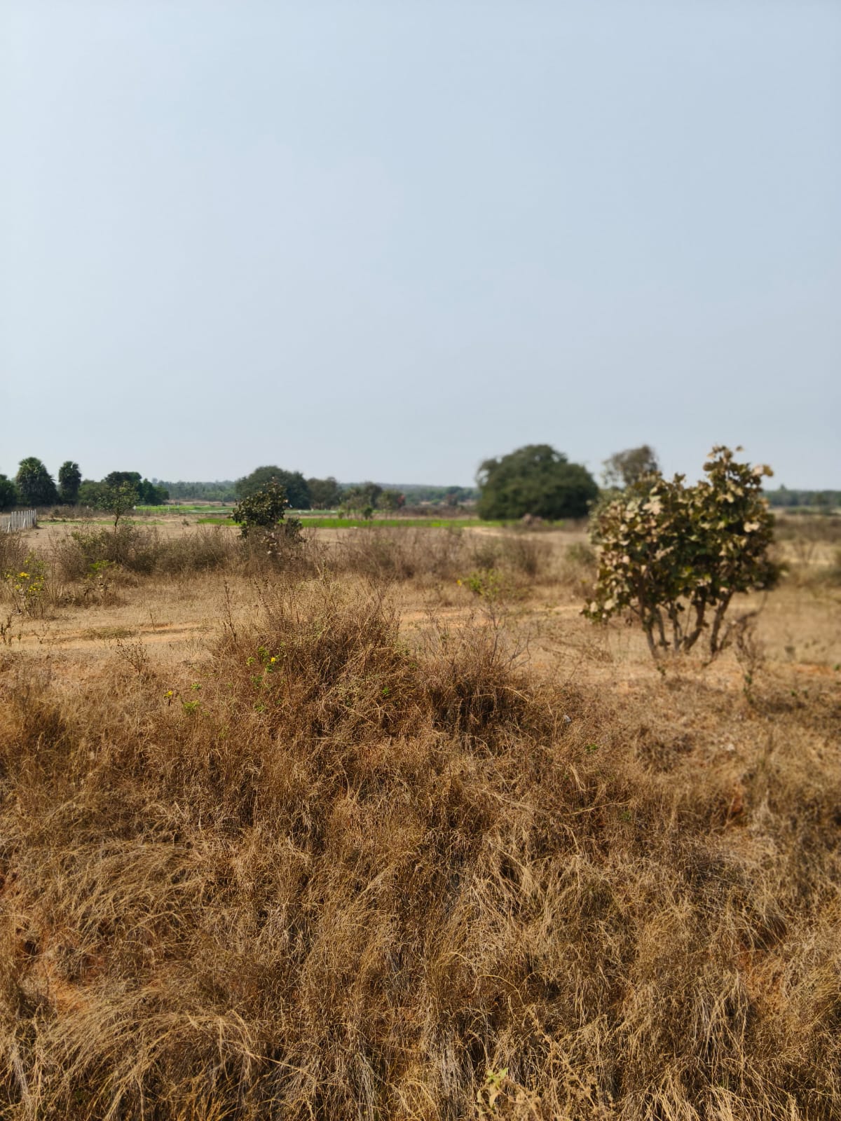 2 Acres Land For Sale At  Upparigudam 