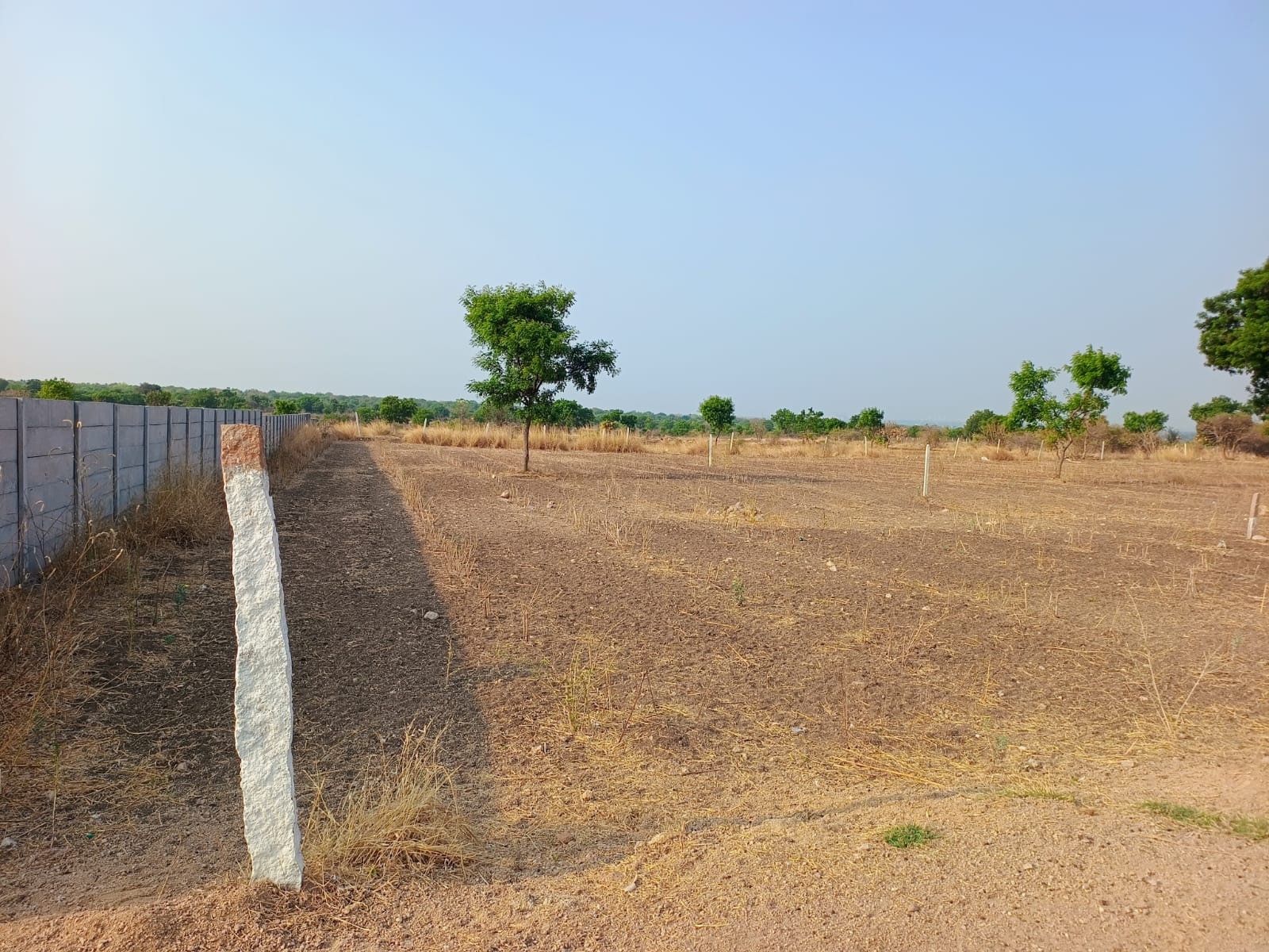 Open plot for sale In shankarpally Highway,chevalla