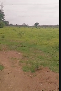 12.06 Acres Land For Sale In Shakarpally