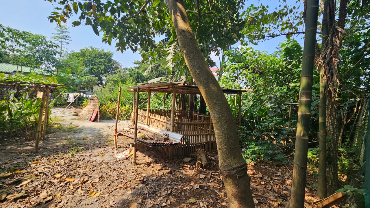 Land For Sale Moinakhurung Garchuk-Pamohi Road